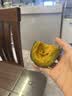 京鲜匠山东贝贝南瓜正宗 栗香小南瓜 香甜粉糯老瓜 蔬菜源头产地直发 精品装 净 4.5斤 （4-9个） 实拍图