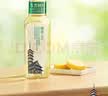 农夫山泉东方树叶菊花普洱500ml*15瓶无糖茶饮料0糖0脂0卡饮品整箱装 实拍图
