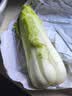 京鲜生云南龙牙白菜净重5斤 新鲜采摘只留菜心源头直发 实拍图