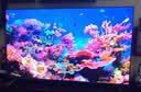 小米（MI）REDMI电视X75 2026款 75英寸 Mini LED288Hz 1200nits 4GB+64GB平板电视L75RC-RX 实拍图