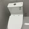 九牧（JOMOO）11176-2-1/31K-1 大力神升级家用马桶虹吸抗菌坐便器305坑距 实拍图