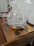 金灶（KAMJOVE）涌泉式全自动上水电热水壶 0.8L玻璃烧水壶 智能保温恒温电茶壶 H7 实拍图