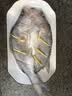 恒兴食品三去开背海鲈鱼1.05kg 3条装 鲜活去鳞去鳃去内脏中秋聚餐送礼 实拍图