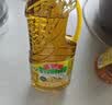 鲁花 【保真花生油】食用油 5S压榨一级花生油750ml 物理压榨 实拍图