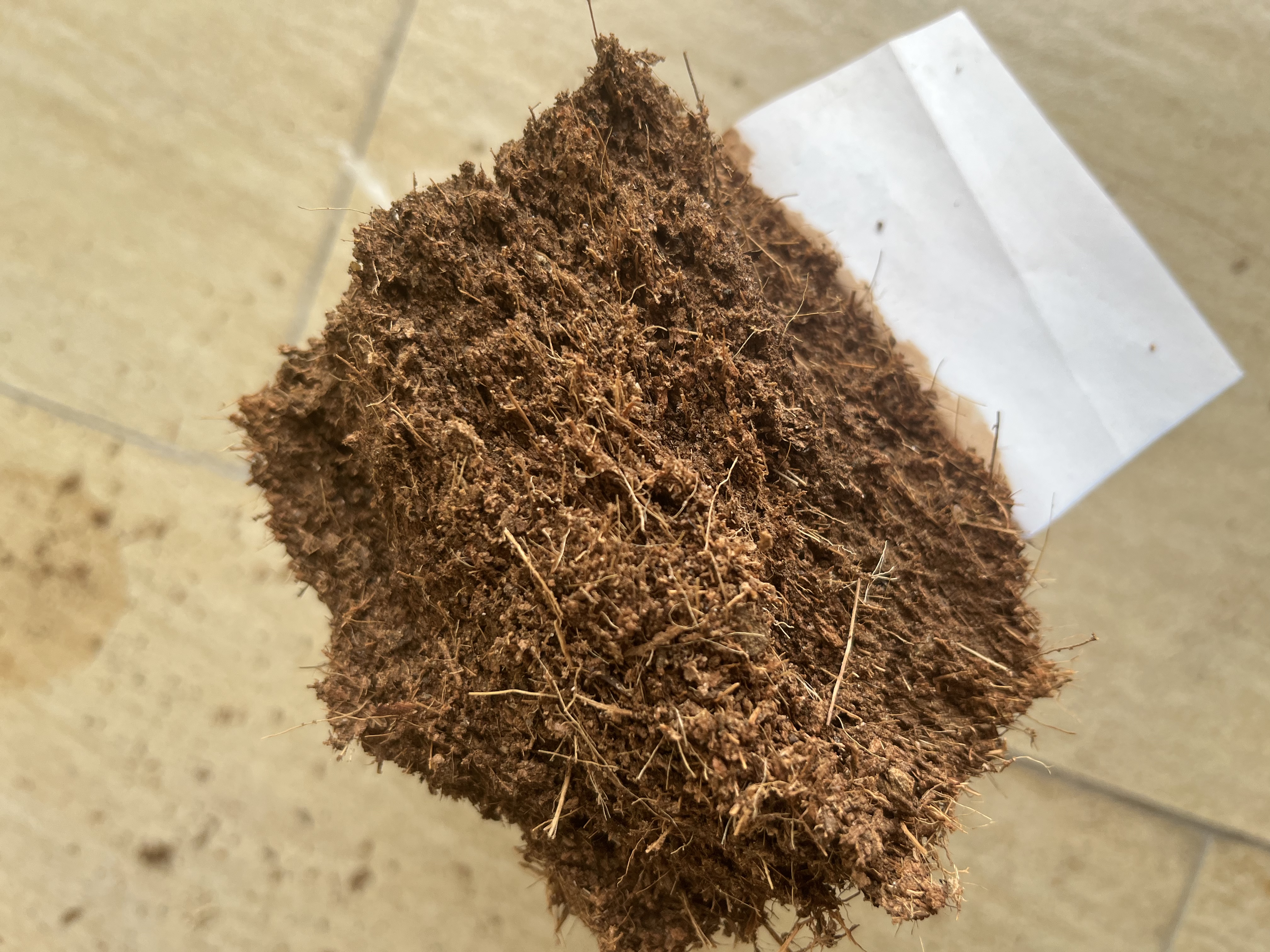 九千谷花盆创意欧式简约蓝色小号2个装多肉植物简约塑料花盆带托盘4245 实拍图