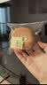 三只松鼠手撕面包1kg*2箱 早餐面包营养饱腹代餐酵母小面包糕点 实拍图