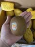 佳沛（zespri）新西兰金奇异果12粒特大果124-146g猕猴桃中秋节礼品送水果礼盒 实拍图