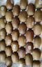 佳沛（zespri）新西兰金奇异果30-33粒原箱103-124g猕猴桃中秋节礼品送水果礼盒 实拍图
