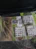 芝浦（zhipu）锂电冲击钻手电钻打孔充电动螺丝刀12v单电家用电动工具配工具箱 实拍图