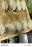 河套家用粉10斤 中华老字号 面粉饺子包子馒头饼手擀面河套面粉 实拍图