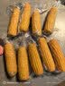 山东老式笨玉米黄玉米有嚼劲传统非转基因玉米棒不甜不糯粗粮代餐 9根大果【249-296g】 实拍图