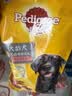 宝路狗粮 老年犬狗粮全价粮全犬种通用 牛肉味1.8kg*4 实拍图