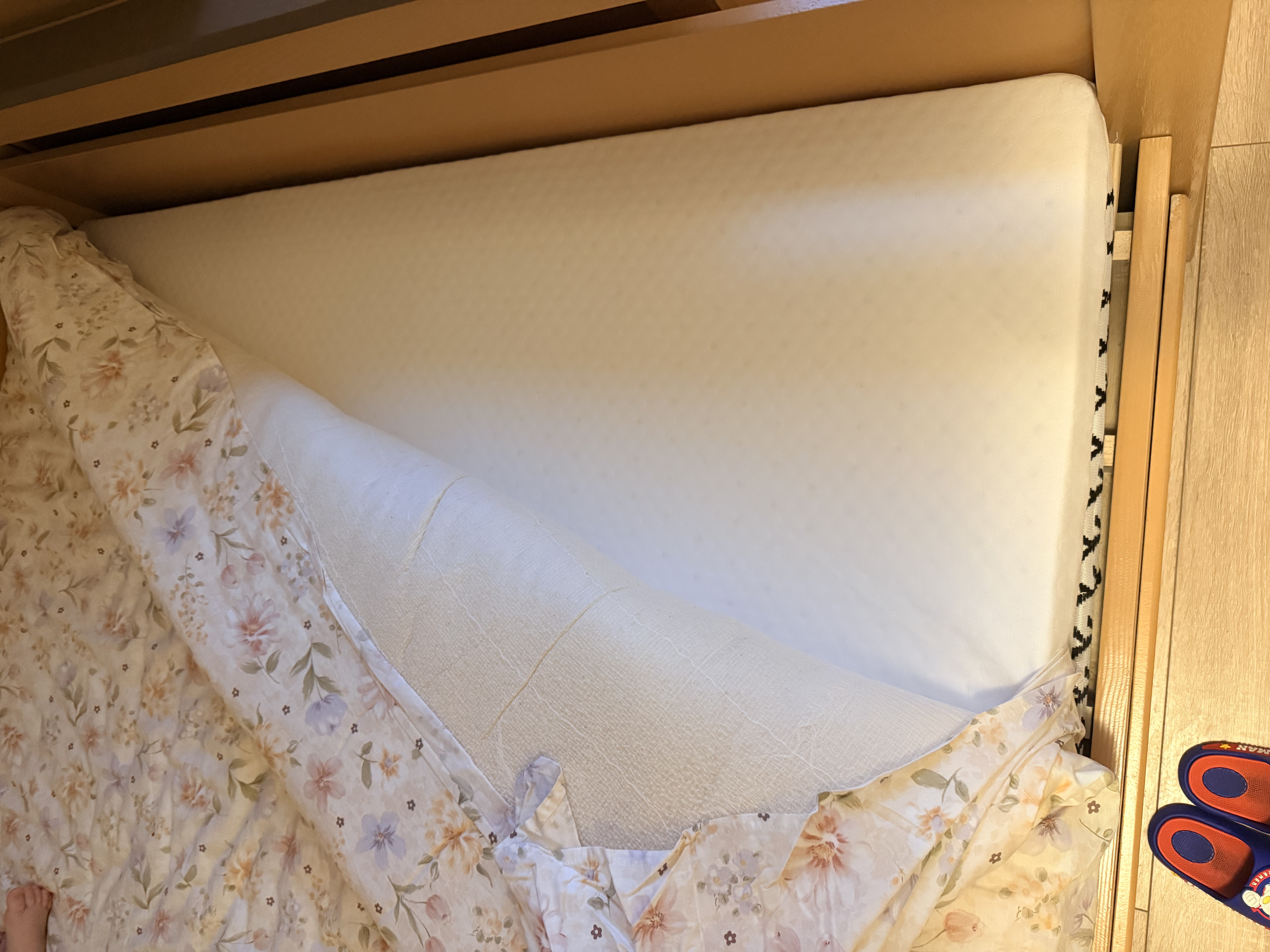 宝珀乳胶床垫1.35米x1.9米泰国进口乳胶宿舍单人软垫床褥榻榻米床垫 实拍图