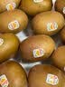 佳沛（zespri）新西兰金奇异果12粒特大果124-146g猕猴桃中秋节礼品送水果礼盒 实拍图