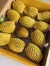 佳沛（zespri）新西兰金奇异果12粒特大果124-146g猕猴桃中秋节礼品送水果礼盒 实拍图