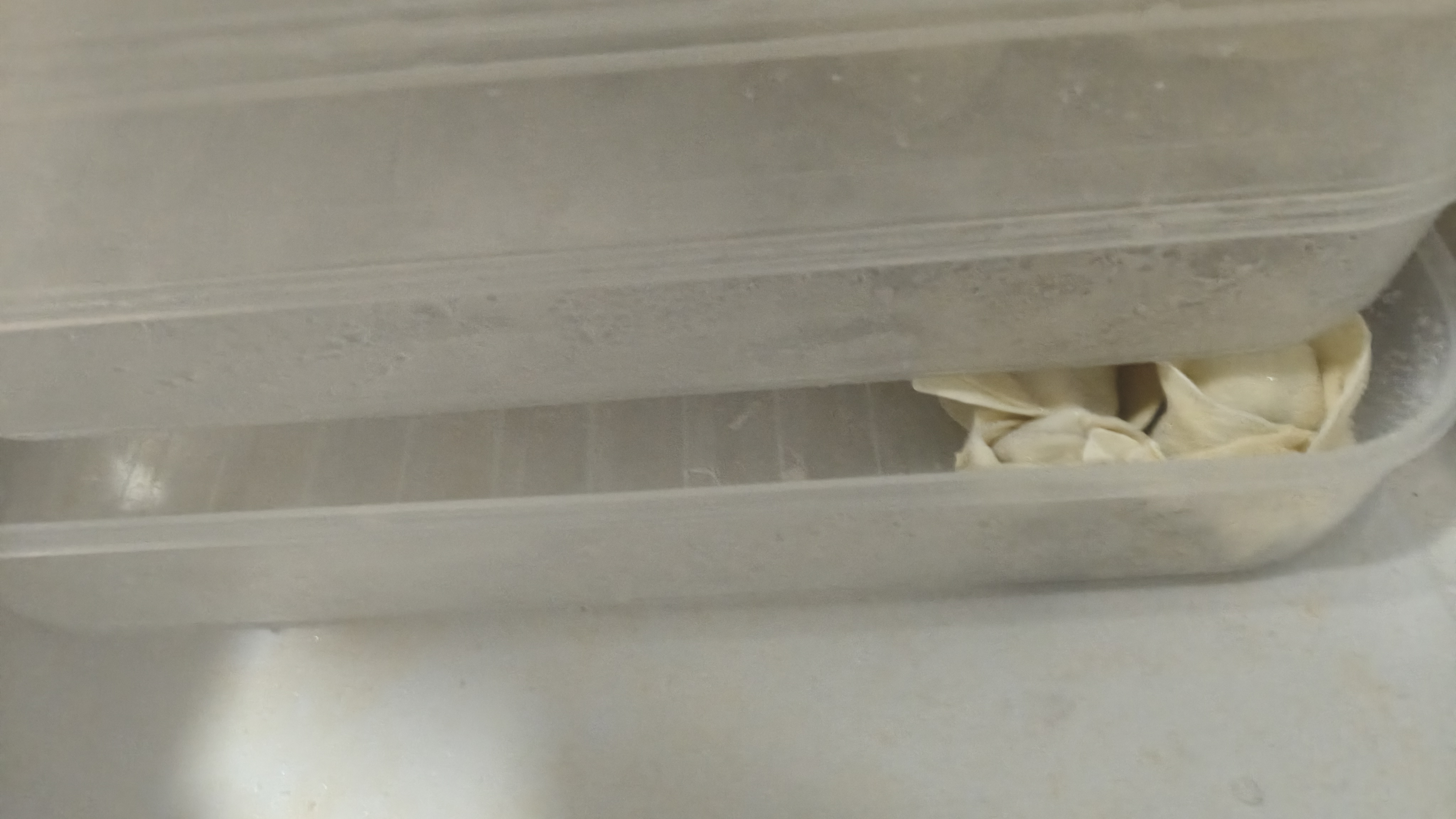 炊大皇 多功能饺子盒4层加大收纳盒冰箱保鲜盒食品级冷冻水饺馄饨盒白 实拍图