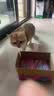 多特思猫零食猫条100支三文鱼味成猫幼猫咪零食湿粮 实拍图
