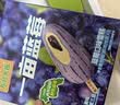 东北大板一亩蓝莓蓝莓味雪糕 95g*4支盒装 冷饮 批发 冰激凌 冰淇淋 实拍图