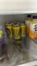 广氏迷你罐菠萝啤酒200ml*10罐夜宵烧烤解腻搭档中秋送礼 实拍图