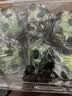京鲜生 海南大青柠/青柠檬 8粒 单果70-100g  生鲜水果  实拍图