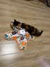 欢宠网猫玩具猫咪五角星捕捉罩捕猎电动自动逗猫棒猫猫小猫幼猫自嗨解闷 实拍图