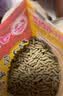 寸金（INCH-GOLD）乌龟粮龟粮乌龟饲料巴西龟猪鼻龟食水龟养龟专用饲料陆虾干通用 500g大颗粒*1包 实拍图