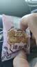 现做直销广式迷你水果小月饼21g五仁凤梨豆沙黑芝麻多口味零食 水蜜桃口味 买1个送2个【发3个】试吃装 实拍图
