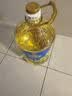 金龙鱼 食用油 非转基因 物理压榨玉米油6.18L（蕴含植物甾醇） 实拍图