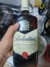 百龄坛（Ballantine`s）苏格兰 调合型 威士忌 进口洋酒 【百龄坛】特醇 1000ml 1瓶+50ml酒伴 实拍图