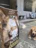 力狼（LILANG）狗粮纯然幼犬成犬牛肉粒双拼40斤德牧金毛小型中大型通用犬粮20kg 实拍图