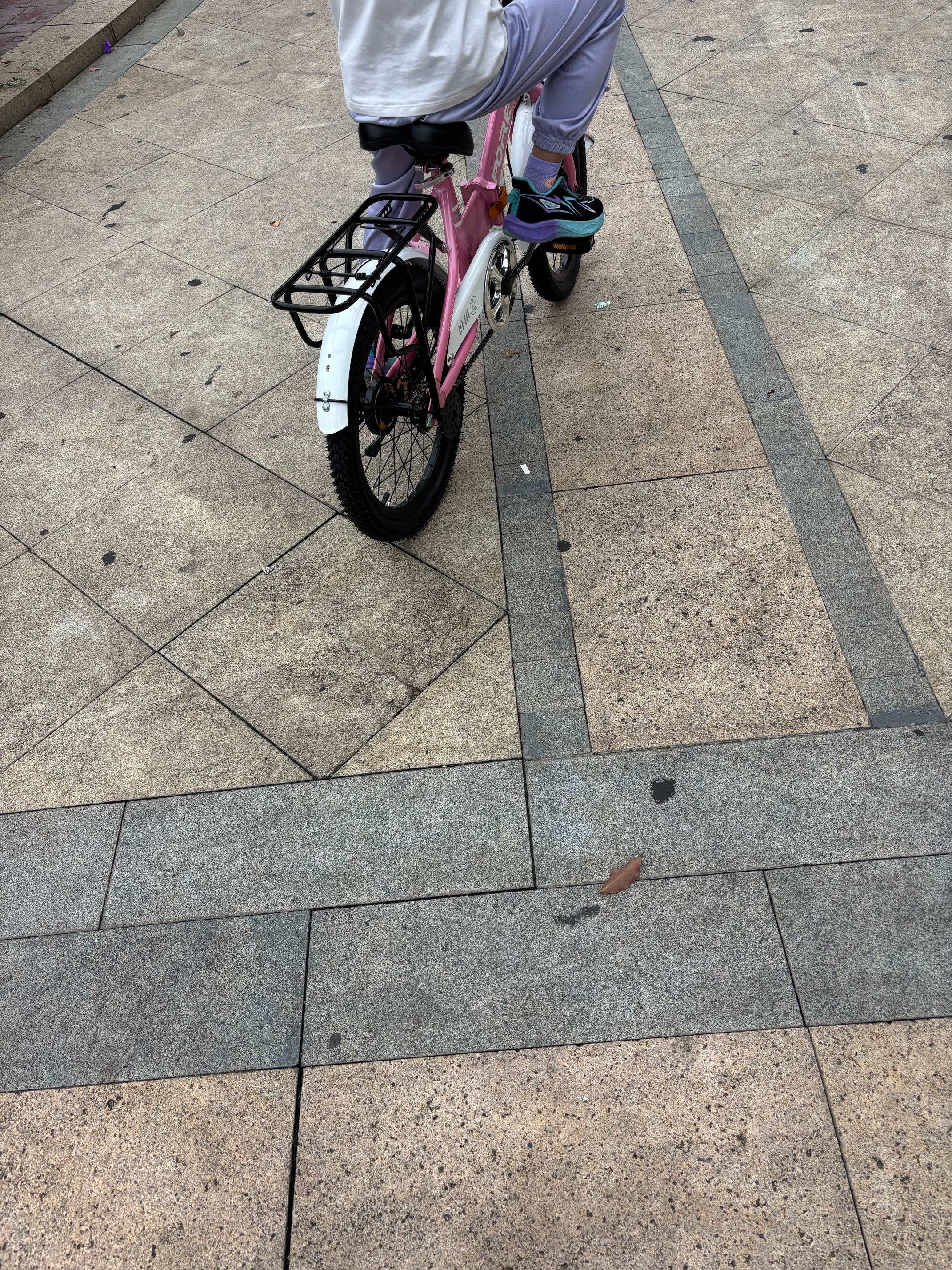 永久儿童自行车6-10岁以上单车女孩折叠单速小学生女童车 18寸粉色 实拍图