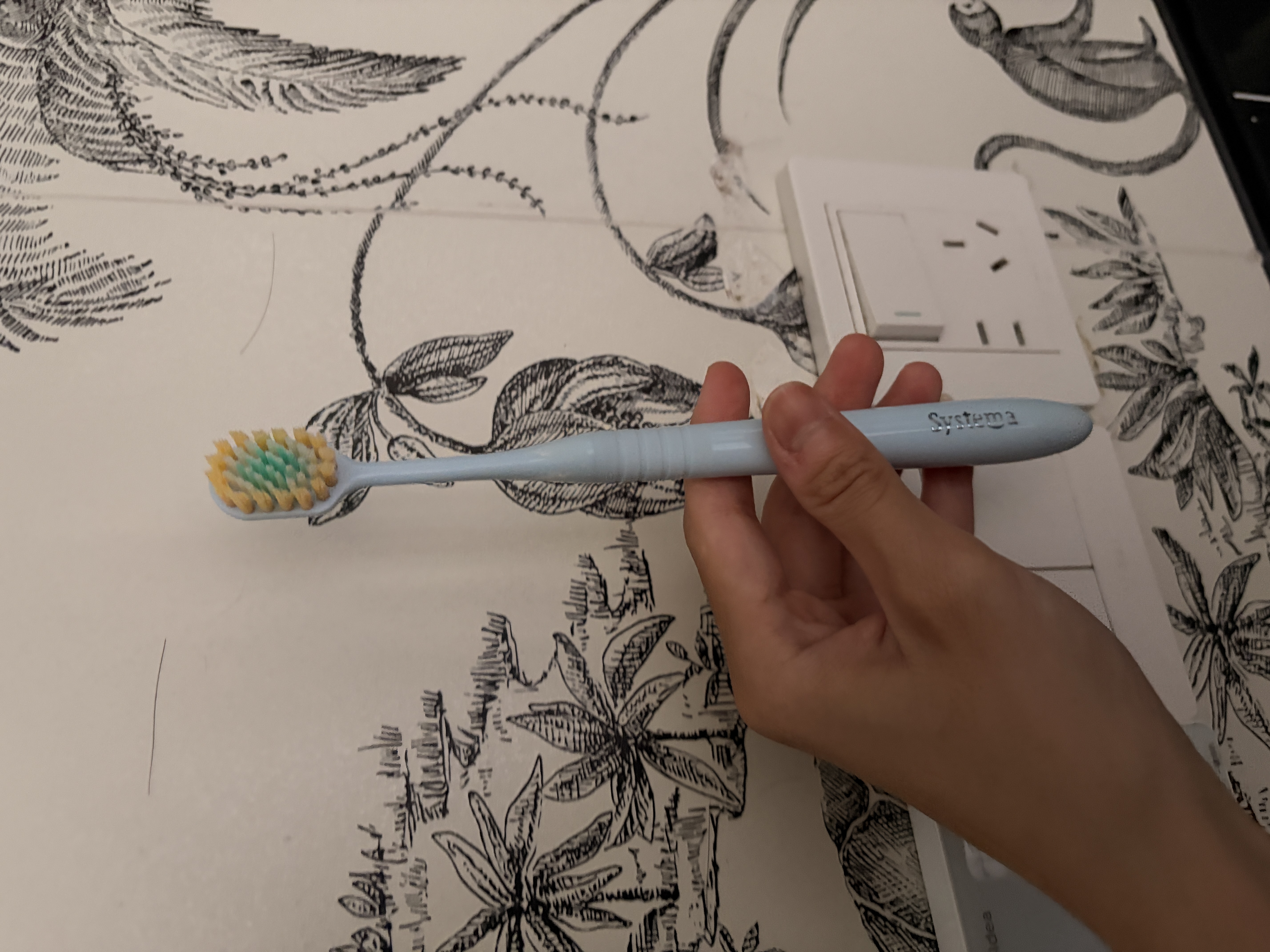 狮王(lion)细齿洁宽薄茶抗敏牙刷2支软毛成年人缓解敏感檀健次同款 实拍图