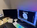 飞利浦EVNIA弈威26.5英寸2K500Hz 三星四代QD-OLED镜面屏 HDR500氛围光DP2.1低蓝光电竞显示器27M2N8500X 实拍图