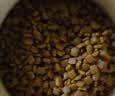 皇家猫粮 幼猫奶糕 幼猫猫粮 BK34 通用粮 1-4月 2KG 实拍图