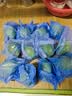 广东香水柠檬包邮新鲜水果柠檬精选皮薄奶茶店【百补优选】 香水柠檬6粒装  单果净重70g+ 实拍图