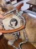 欢宠网狗绳狗狗牵引绳狗胸背带遛狗牵狗绳狗链子背带宠物大型小型犬小狗 实拍图