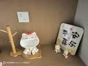 杞乐招财猫摆件乔迁礼物客厅玄关钥匙收纳置物架搬家入宅仪式新居装饰 铃铛猫+置物架+金边相框+小摆件一对 实拍图