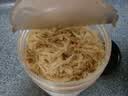 方家铺子六星淡干虾皮120g 无盐无添加儿童可打虾粉 虾米海米仁蛋花紫菜汤 实拍图