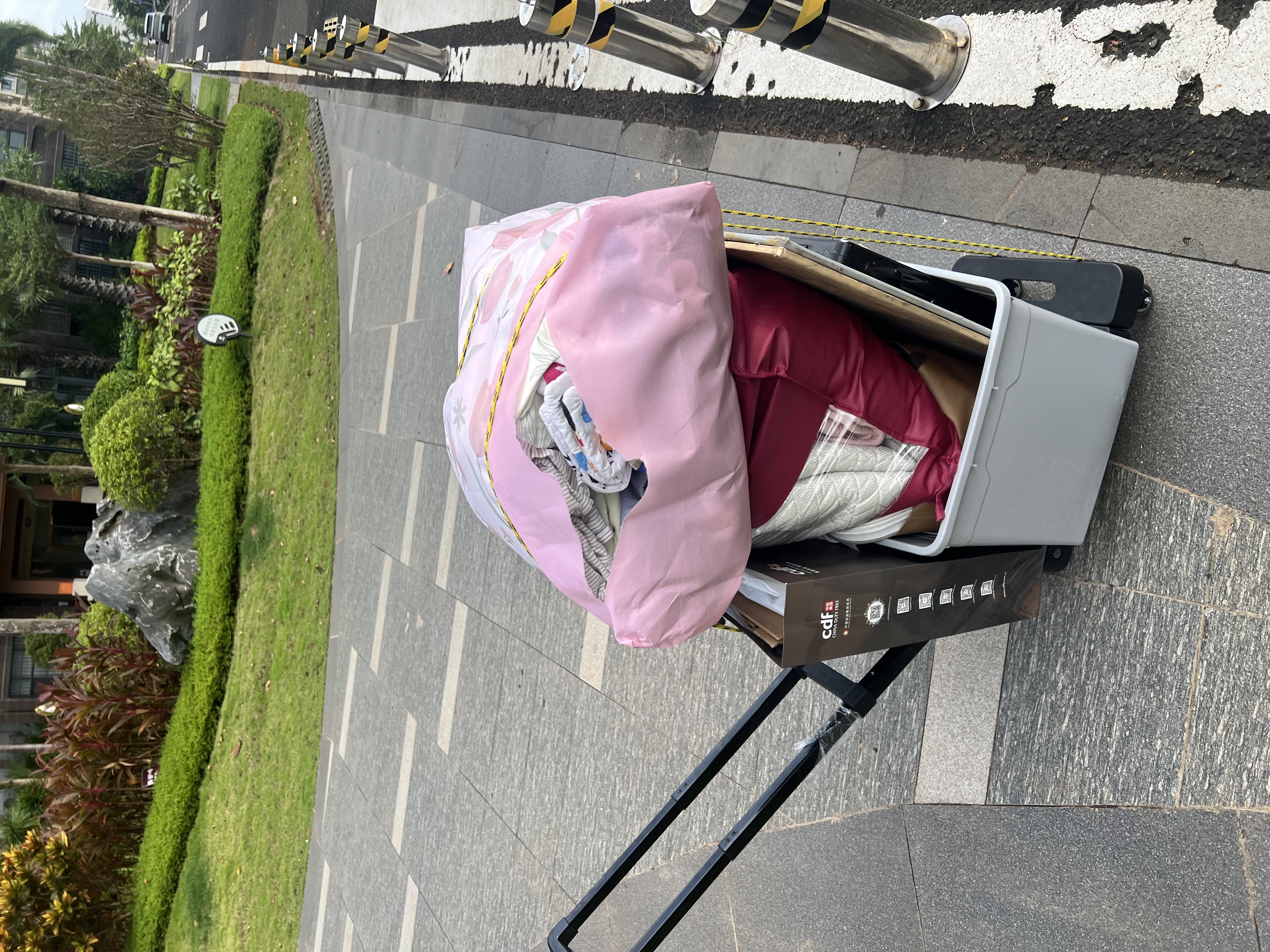 新越昌晖小推车手拉车折叠平板车拉杆行李车买菜拖车乌龟车承重400斤L011 实拍图