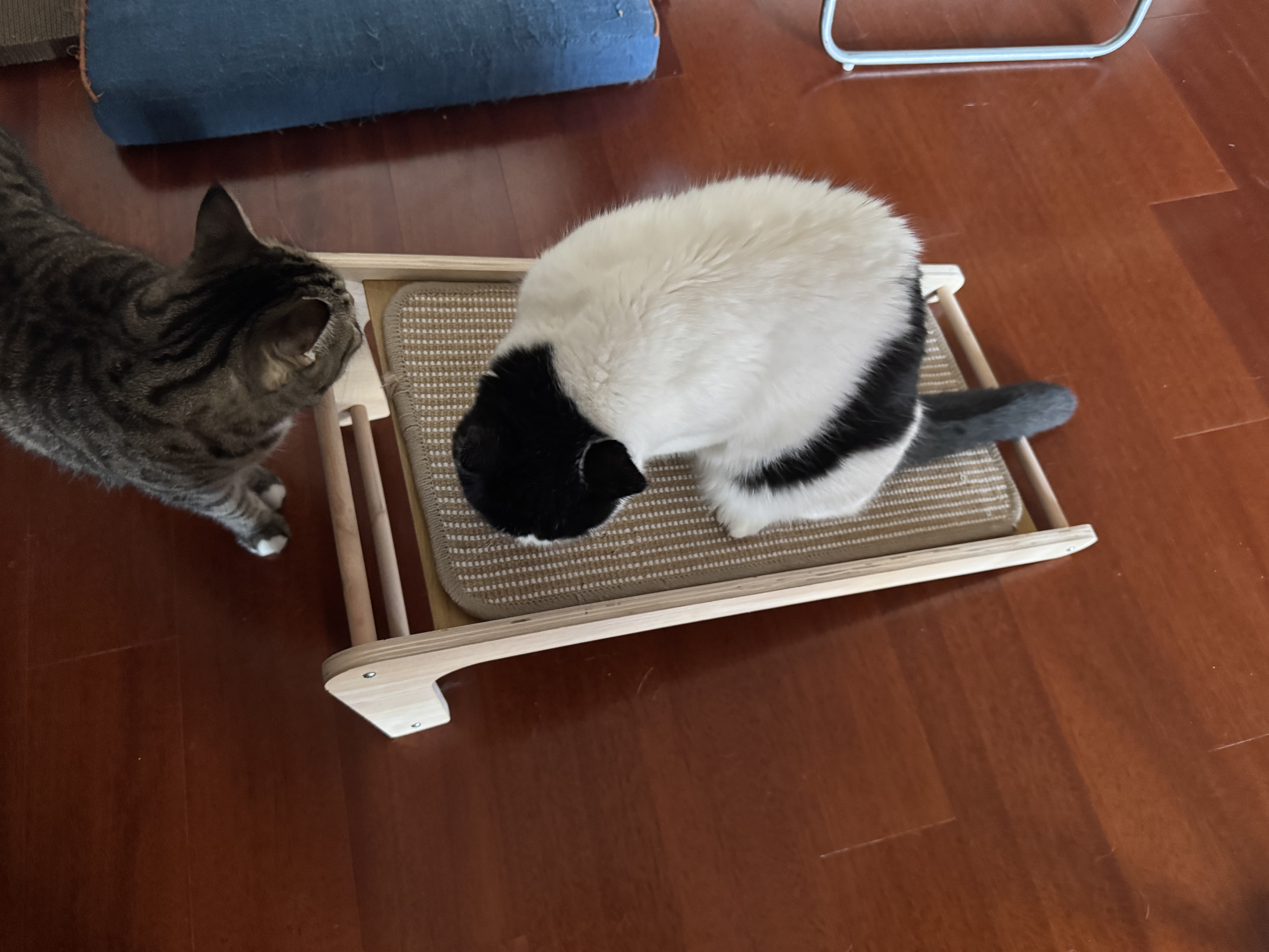 梵都宠舍实木剑麻猫抓板69cm加大号剑麻垫L型猫抓板 实拍图