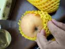 佳农烟台红富士苹果 净重10斤 一级果 单果重160g+  生鲜水果源头直发 实拍图