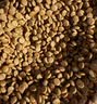 皇家猫粮 挑嘴成猫猫粮 高适口性 EF38 通用粮 12月以上 10KG 实拍图