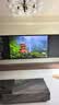 海信电视E8Q 100吋 信芯H6 5200分区U+MiniLED 黑曜屏Pro 330Hz 帝瓦雷音响 能效补贴世界杯电视100E8Q 实拍图