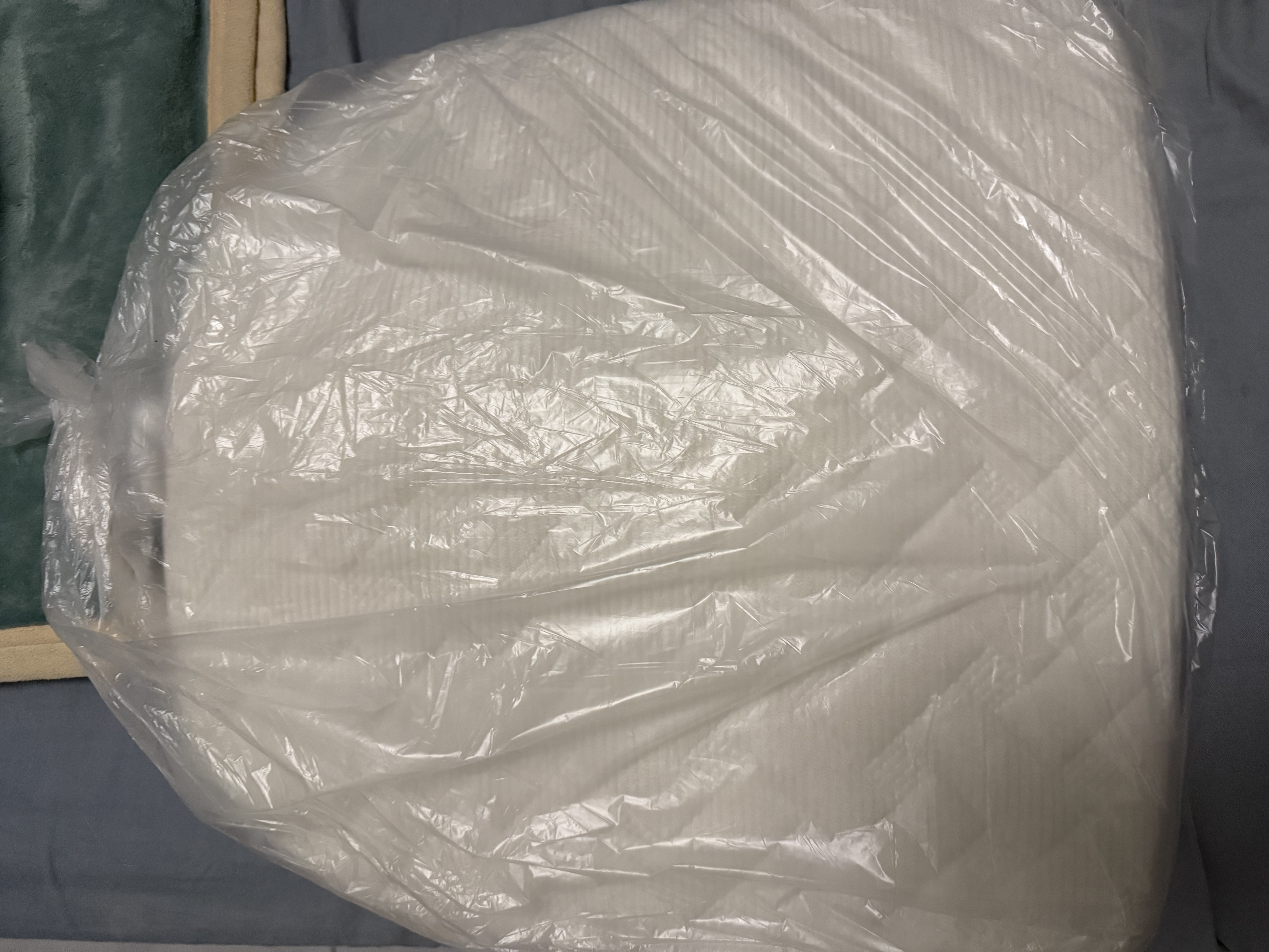 钟爱一生冬季毛绒坐垫屁垫椅子垫座垫海绵垫家用餐椅垫子久坐保暖可拆洗 【爆款】灯芯绒海绵垫（咖啡色） 40*43cm马蹄形 实拍图