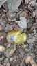 屈臣氏（Watsons）汤力气泡水0脂饮料含汽苏打水金汤力调酒330ml*24罐【低价清仓】 实拍图