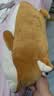 名创优品（MINISO）柴犬抱枕小狗沙发靠背床上陪睡安抚学生午睡枕狗狗公仔生日礼物 实拍图