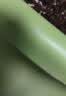 史丹利花盆家用树脂塑料盆栽加厚多肉月季阳台庭院加仑盆苹果绿高281mm 实拍图