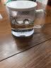 富光·嘉（FU）茶杯高硼硅玻璃杯茶水分离带盖泡茶水杯送人礼物 实拍图