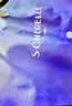 安睡宝（SOMERELLE） 全棉A类抗菌枕头进口七孔纤维枕芯酒店护颈椎枕睡眠枕靠枕可水洗 升级抗菌进口七孔枕蓝-高枕 单只 一只装 实拍图