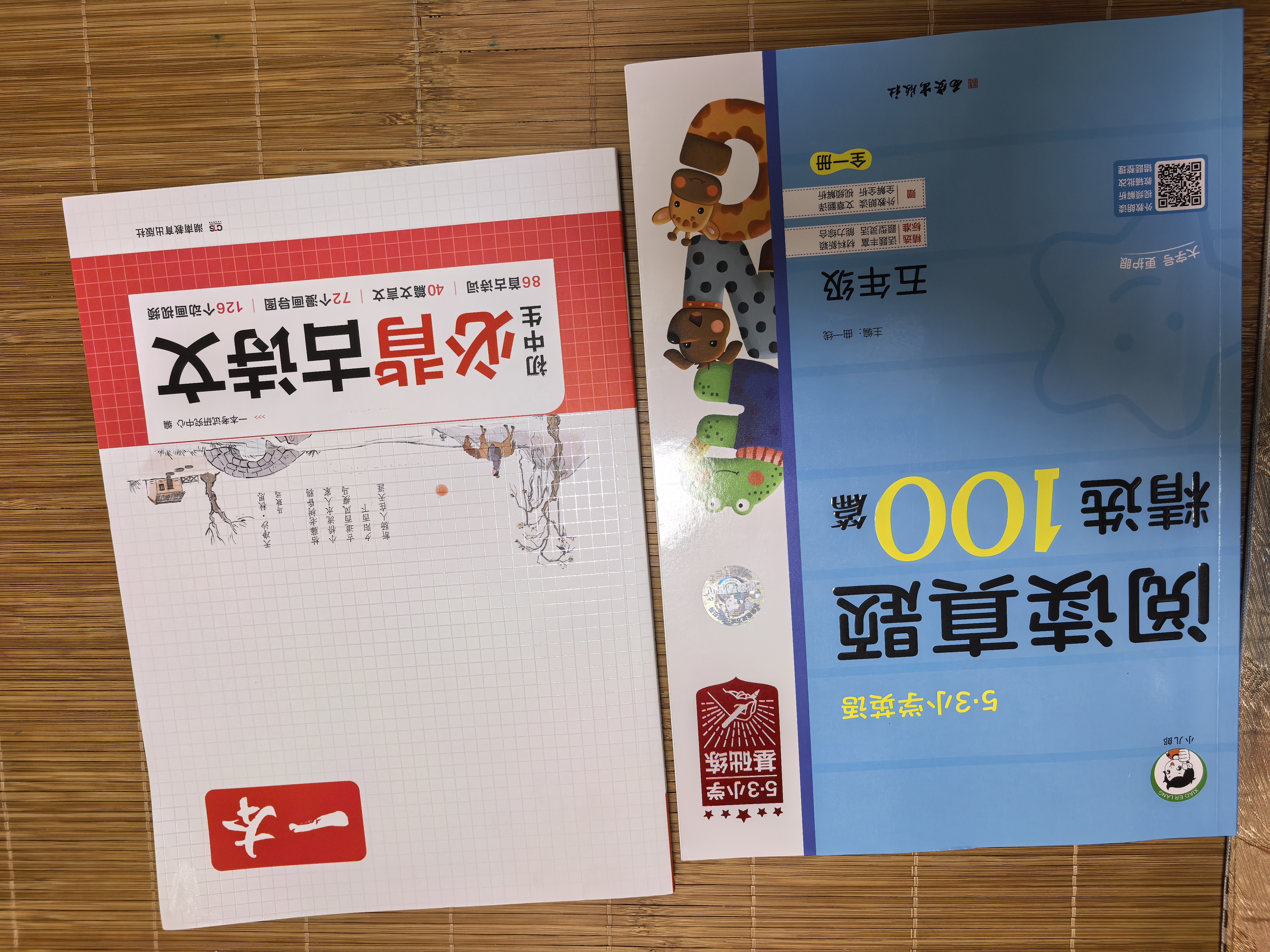 2026秋季53小学基础练 阅读真题精选100篇 英语 五年级全一册 开学季 实拍图